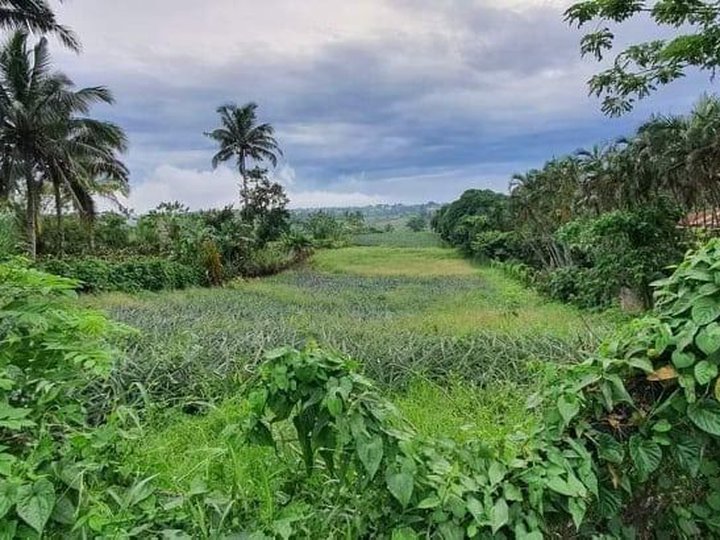 5,000 sqm Lot for Sale in Silang Junction North Tagaytay City
