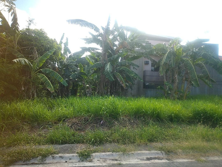 Residential Lot for Sale at Metrogate Subdivision, Dasmarinas, Cavite [Lot 🚜] (June 2024) in