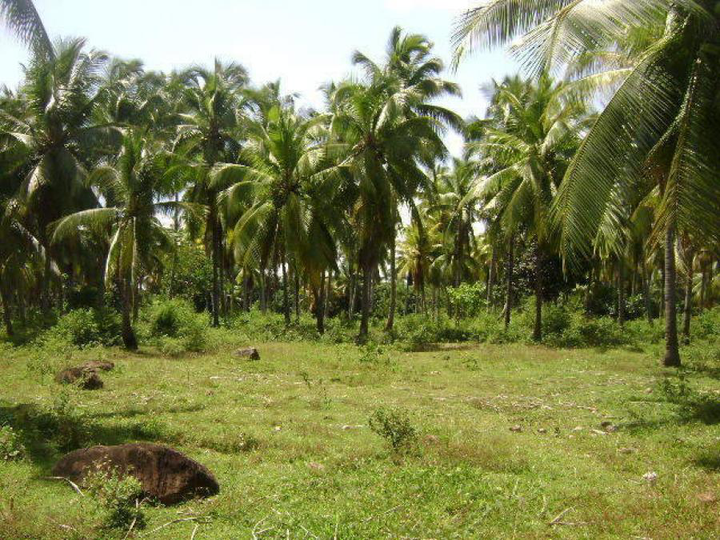 Land Property for sale in Mahaplag Leyte