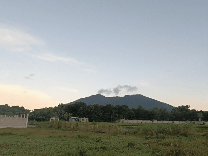 3,000 sqm Residential Lot For Sale By Owner in Magalang Pampanga with a Perfect Mt. View