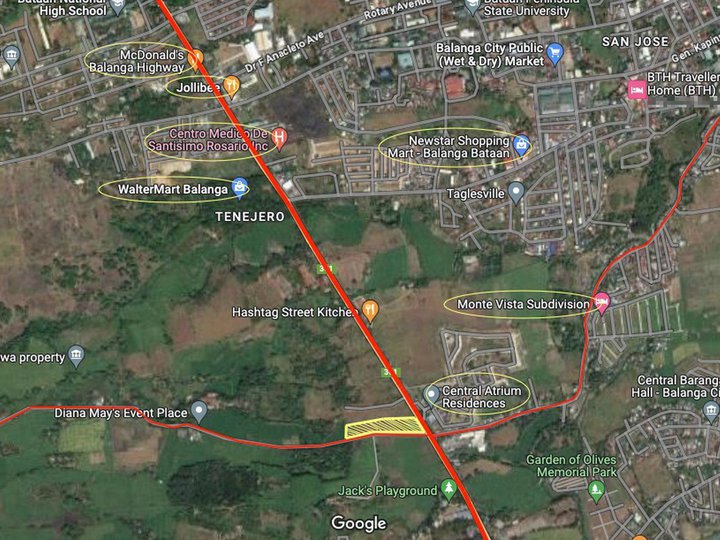 CORNER LOT IDEAL FOR COMMERCIAL ALONG PROVINCIAL HIGHWAY BATAAN NEAR VISTA MALL AND WALTERMART