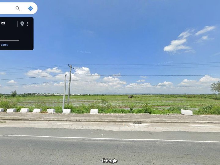 FOR SALE RAWLAND ALONG PROVINCIAL HIGHWAY IN TARLAC NEAR NLEX/SCTEX WITHIN INDUSTRIAL ZONE