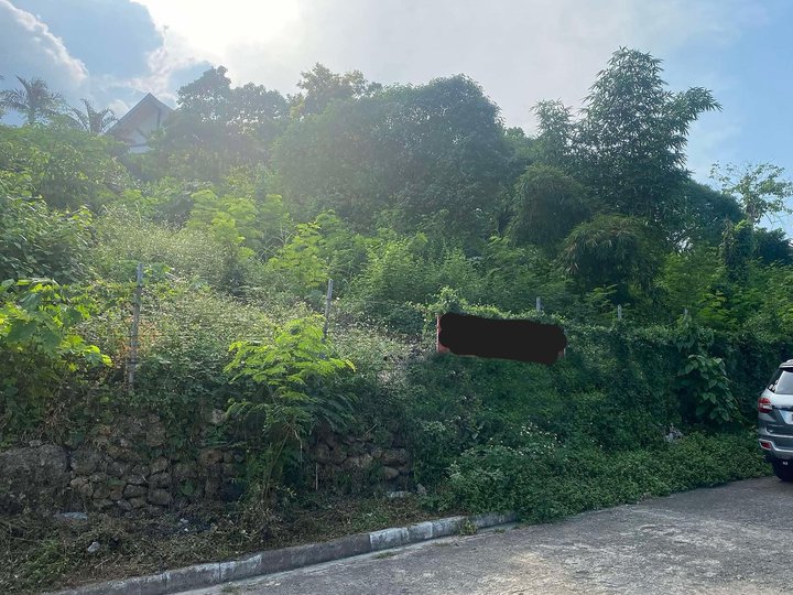 Elevated Lot for SALE in Sunny Hills Talamban, Cebu City