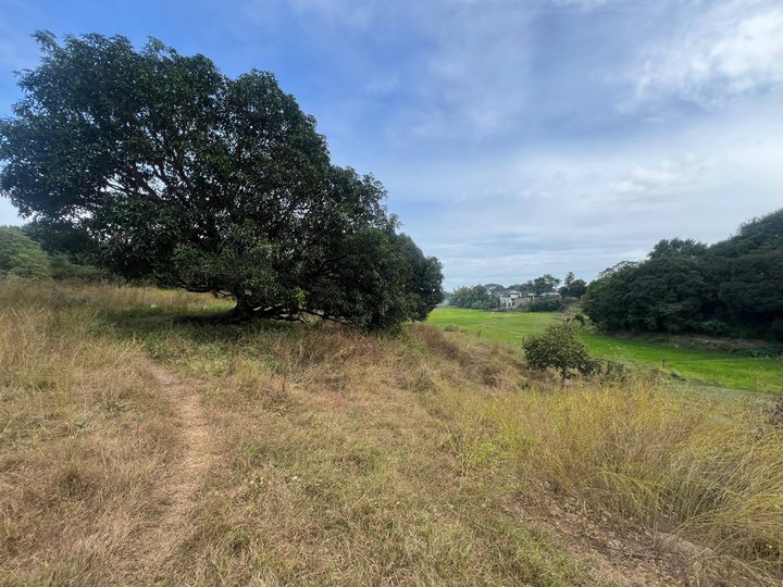 FOR SALE FARM LOT IDEAL FOR RESORT OR RETIREMENT HOUSE IN PAMPANGA