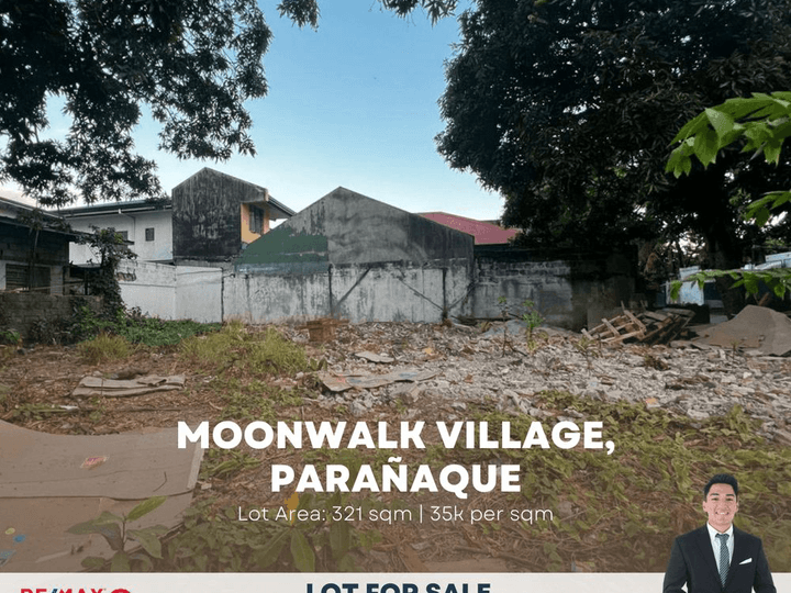 321 sqm lot for sale in Moonwalk Village Paranaque @ 35k per sqm