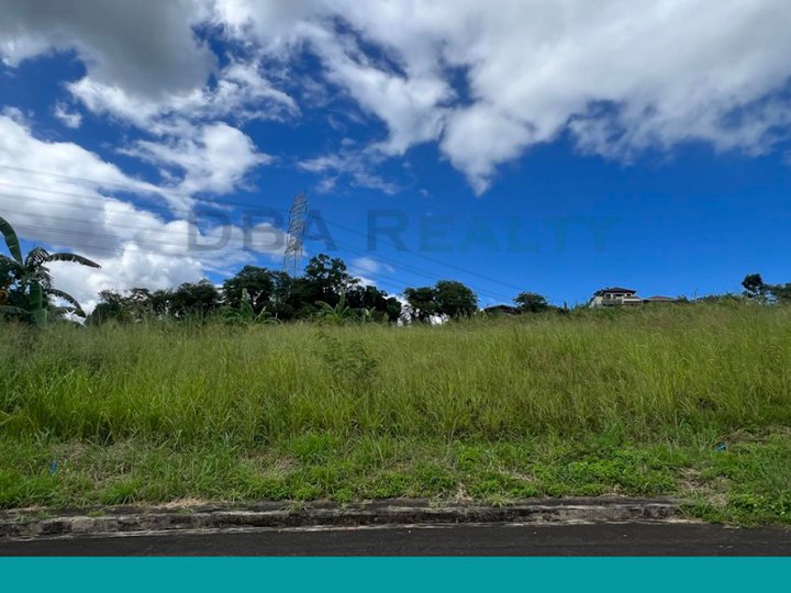 317 sqm Vacant Lot For Sale in Eastland Heights, Antipolo City