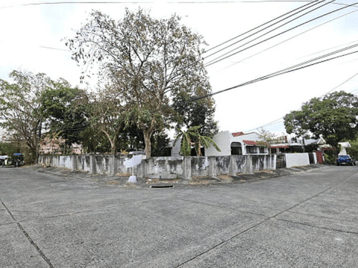 Lot for Sale in BF Almanza Village Las Pinas City