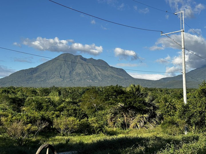 FARM LOT FOR SALE BRGY. SAN MATEO, DOLORES, QUEZON