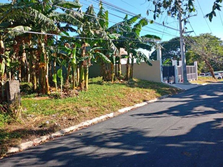 Lot for Sale in South Greenheights Putatan Muntinlupa City