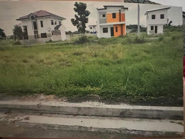 360sqm Residential lot for Sale in South Spring Canlalay Binan Laguna