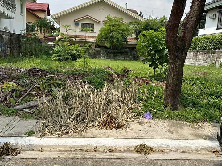 400sqm Residential lot for Sale in Hillsborough Village Muntinlupa City