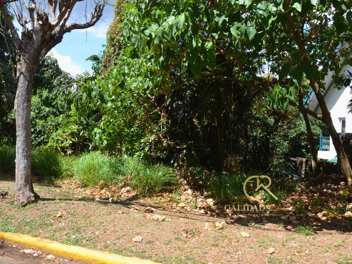 Fairmount Hills Sloping Residential Lot For Sale - CRS0108