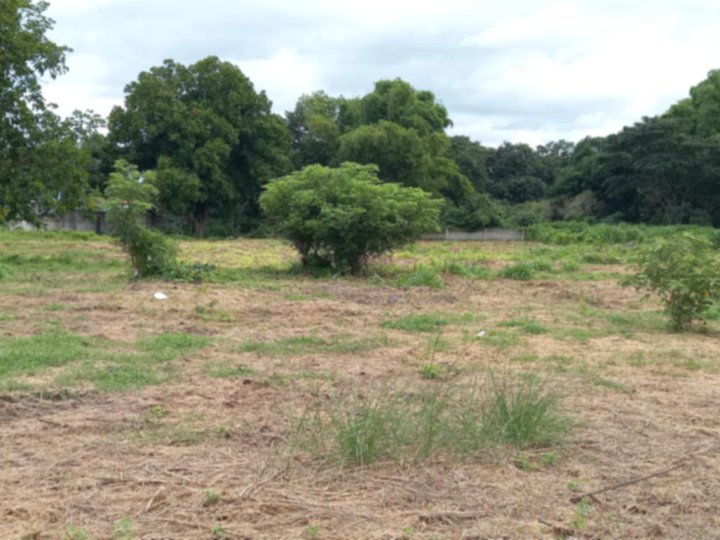 A PRIME RESIDENTIAL LOT FOR SALE NEAR MUNICIPAL HALL AND COMMERCIAL ESTABLISHMENT IN BAMBAN