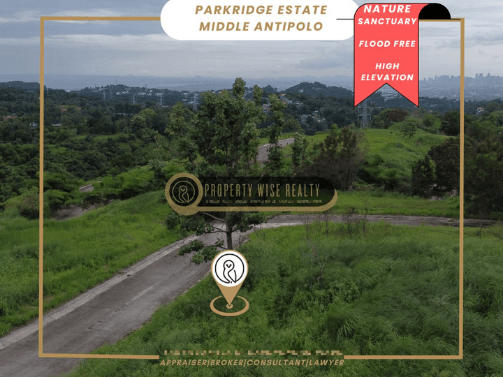 Captivating Views - Parkridge Antipolo Lot