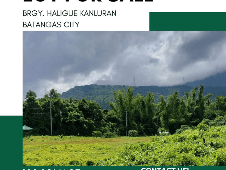 100 sqm Residential Lot For Sale in Batangas City Batangas