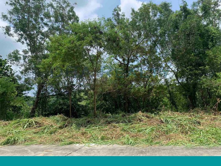 727sqm Fairway Vacant Lot For Sale in Eastland Heights, Antipolo Rizal