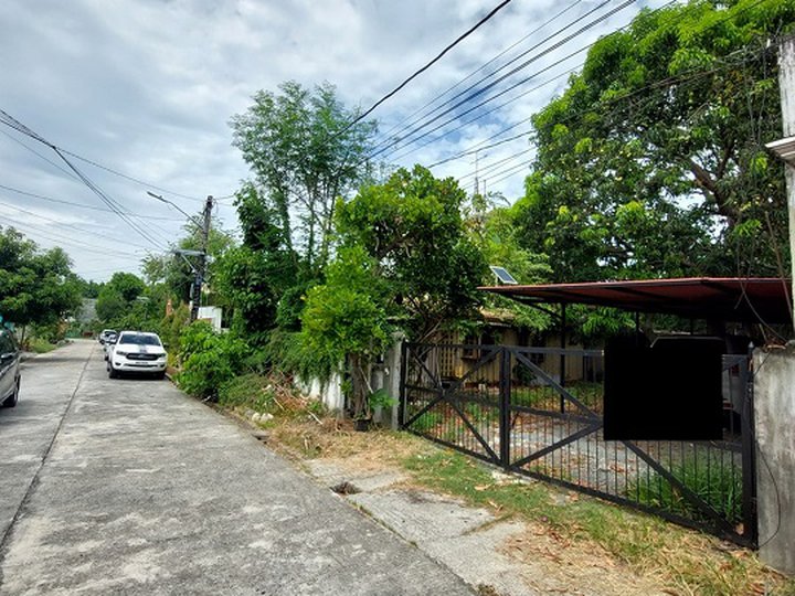 343sqm Residential lot for Sale in UPS 5 Sucat Road Paranaque City