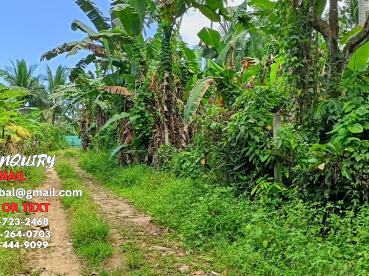 14650 sqm Agricultural Farm For Sale in Nagcarlan Laguna