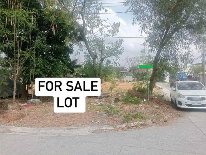 206sqm Residential lot for Sale in Town & Country West Bacoor Cavite