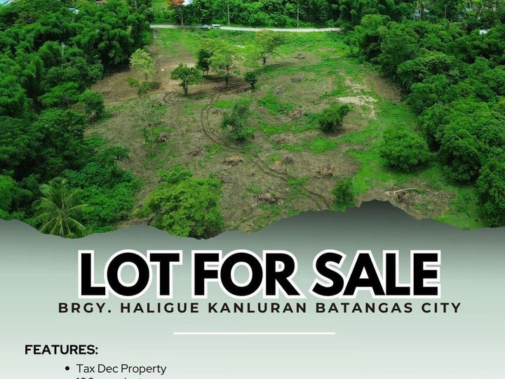 100 sqm Residential Farm For Sale in Batangas City Batangas