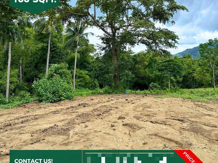 100 sqm Residential Lot For Sale in Batangas City