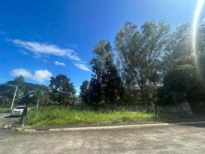 271sqm Residential Corner lot for Sale in The Sonoma Sta Rosa Laguna