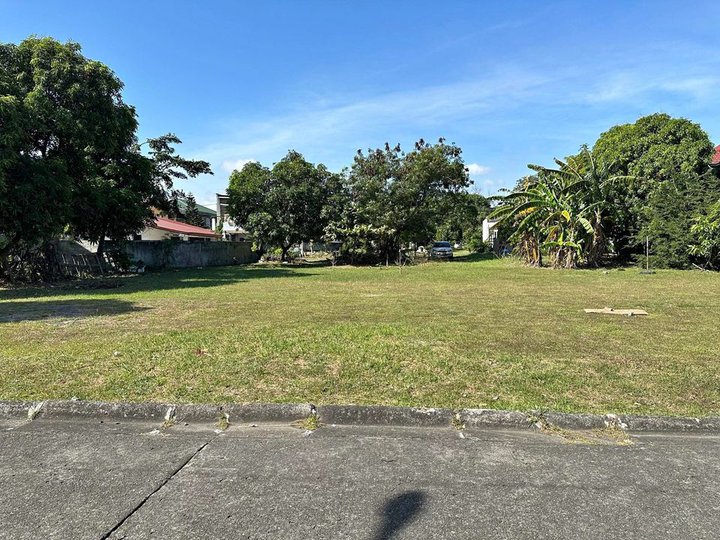 333sqm Residential lot for Sale in Filinvest South Governor's Drive Binan Laguna