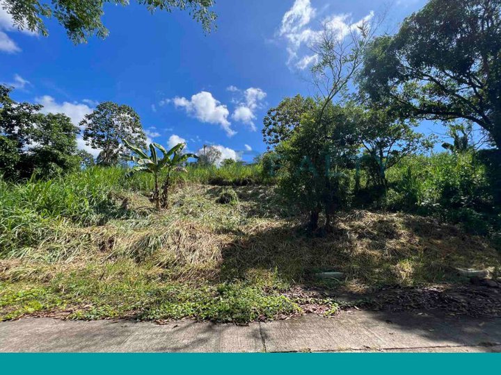 468 sqm Residential Lot For Sale in Eastland Heights, Antipolo Rizal