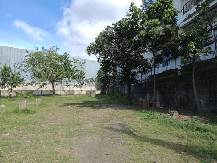 1000 SQM Lot For Sale in Project 8 Quezon City near EDSA