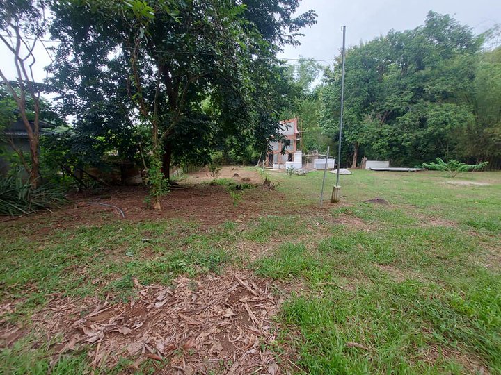469 sqm Lot for Sale in Hermosa Bataan