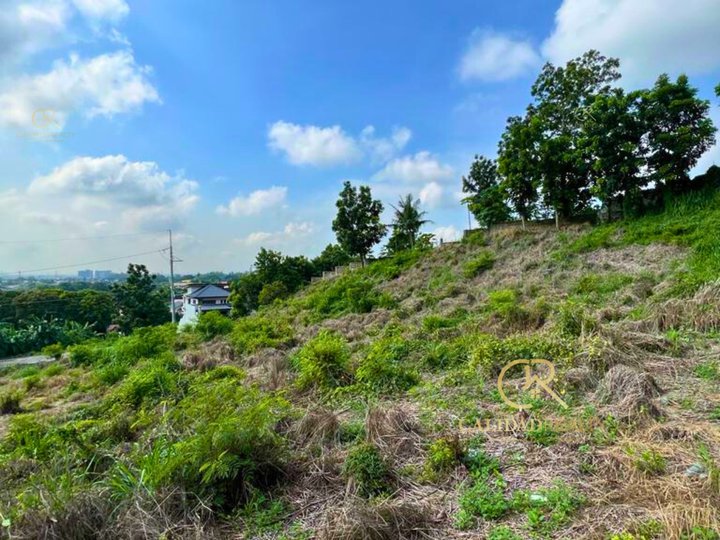 South Peak Residential Lot For Sale San Pedro Laguna - CRS0280