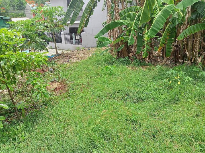 Lot for Sale in St Raymond Homes Calendola Village San Pedro Laguna