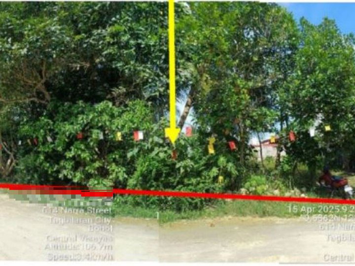 Foreclosed 280 sqm Residential Lot For Sale in Tagbilaran Bohol