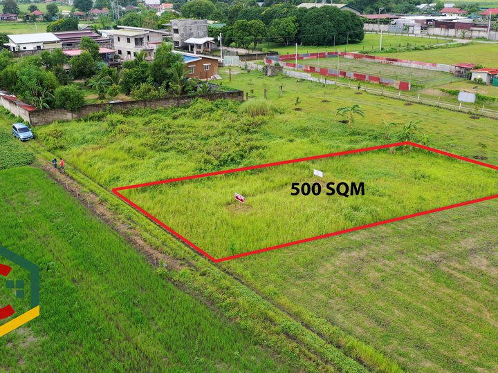 FARM LOT FOR SALE IN MEXICO, PAMPANGA