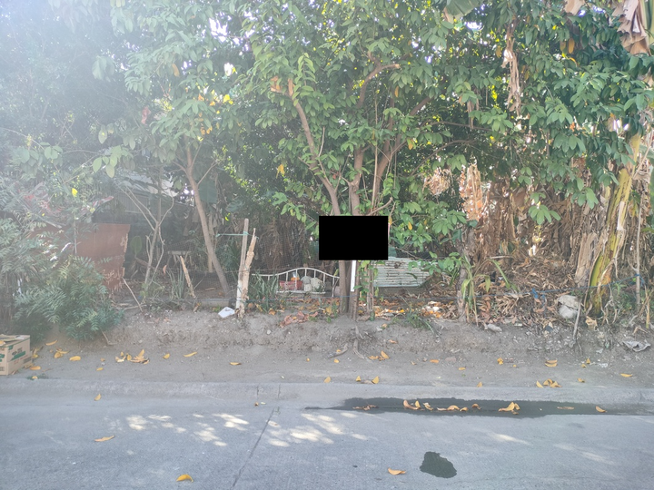 348sqm Residential lot for Sale in BF Resort Village Talon Las Pinas City