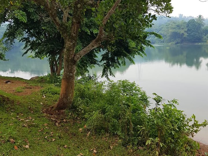 Lakeside for Sale Cavinti/Caliraya [Lot 🚜] (July 2021) in Cavinti