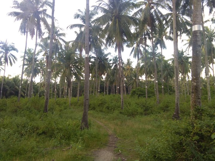 Have a vacant lot for sale.