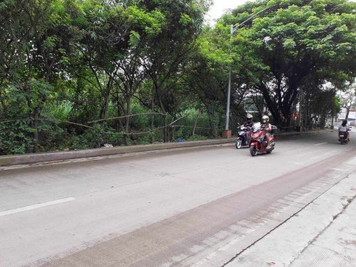 2.8 Hectares Lot for Sale in North Caloocan City