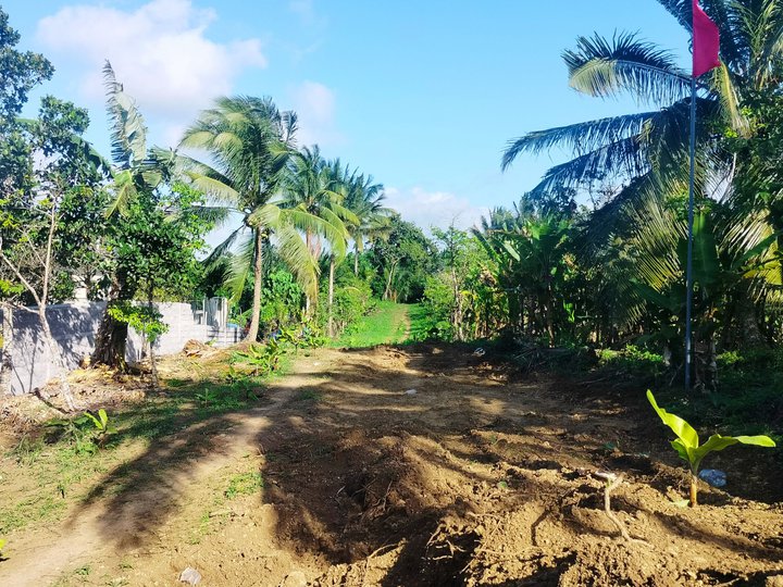 1000 sqm Residential Farm Lot for Sale near Tagaytay