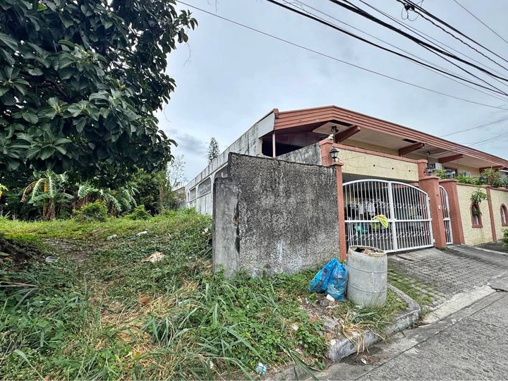 280sqm Residential lot for Sale in Tahanan Village Paranaque City