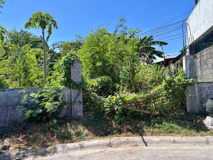Lot for Sale in Citta Italia Molino Blvd Bacoor Cavite
