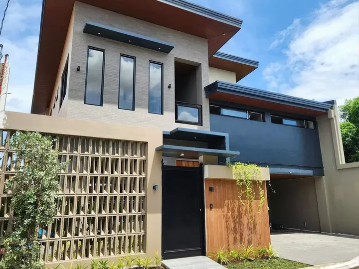 Brand new House for Sale in BF Homes Las Pinas City