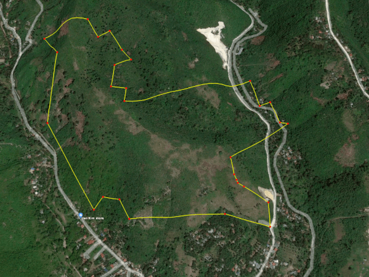 33 Hectares Lot in Tubod Minglanilla Cebu