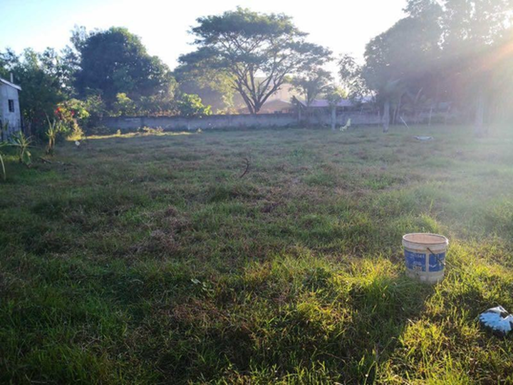 768 sqm Lot for Sale at Ponglo Muelag, Mangatarem, Pangasinan