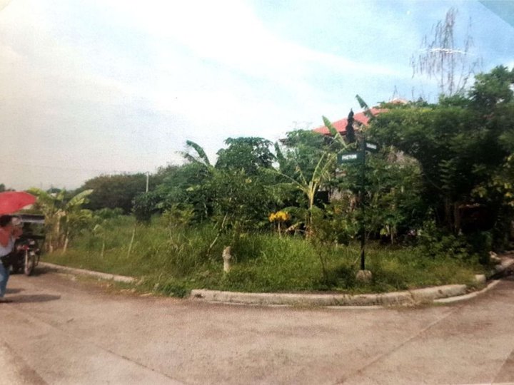 371 sqm  Residential Lot for Sale in Binangonan, Rizal