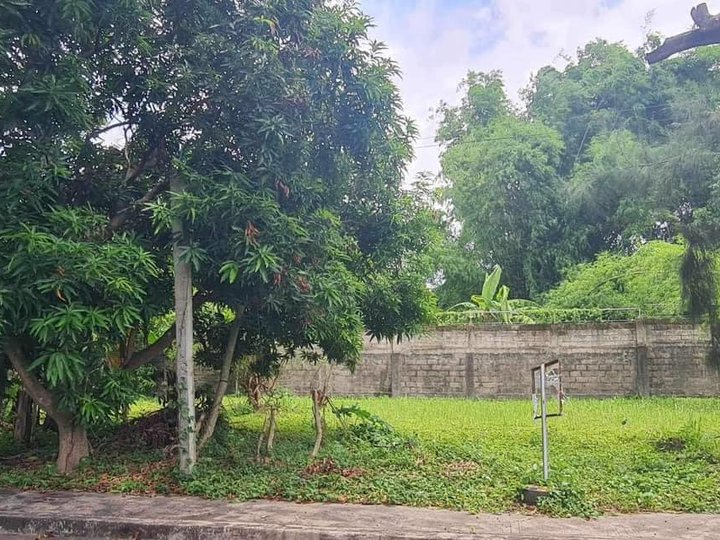 199sqm Residential lot for Sale in Southpoint Subd Cabuyao Laguna