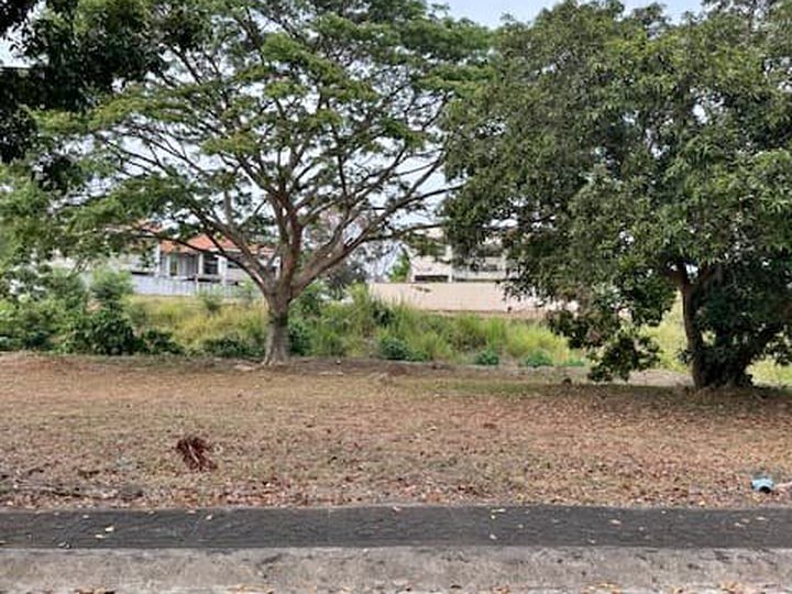 343sqm Residential lot for Sale in Manila Southwoods Carmona Cavite