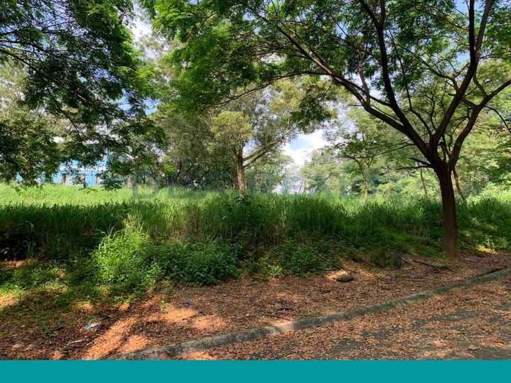 746 sqm Vacant Lot For Sale in Parkridge Estate, Antipolo Rizal