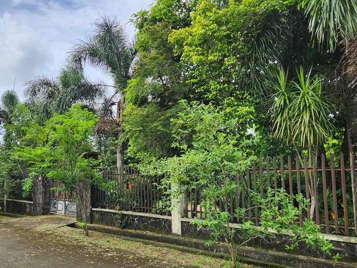 Residential Filinvest Farmlot in Cavite