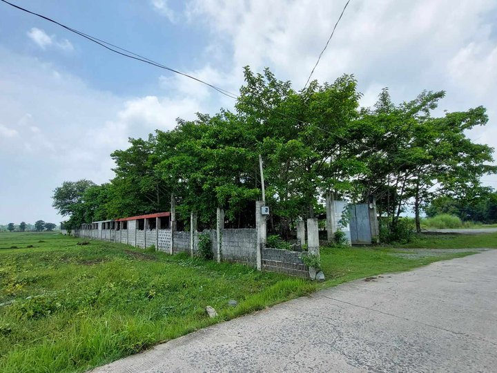 9,130 sqm Pig Farm For Sale in Bocacliw Aguilar Pangasinan
